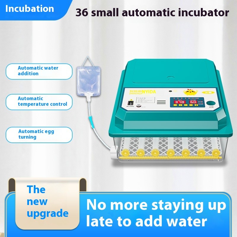Automatic Incubator Small Intelligent Household Egg Incubator