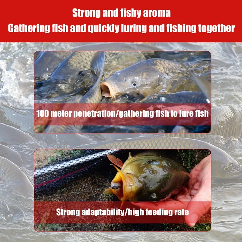 Red Worm Fish Attractant