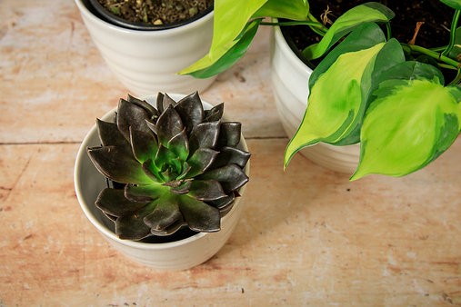 Rippled Cover Pot