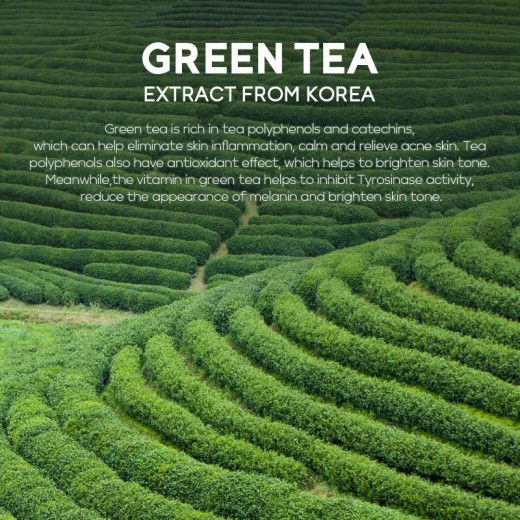 Green Tea Mask Solid Stick Daub-type
