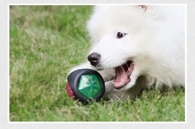 Herding Ball