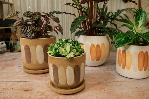The Alan Pot