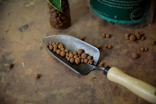 Leca aqua clay balls