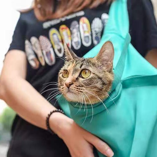 Cat Carrier Pouch