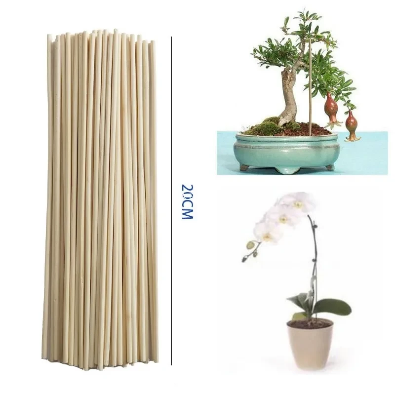 Plant Support Sticks