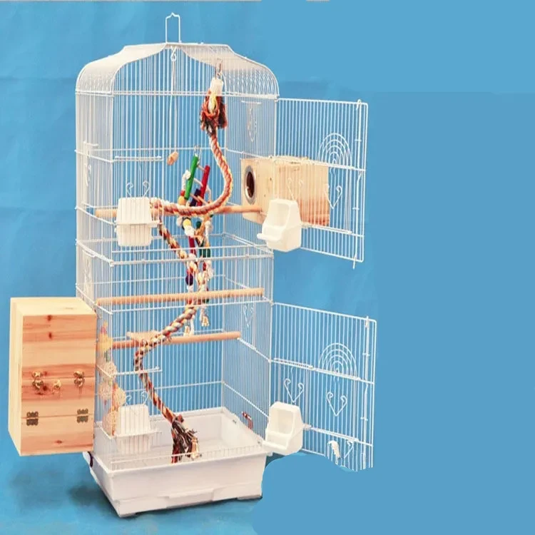 Indoor Bird Enclosure