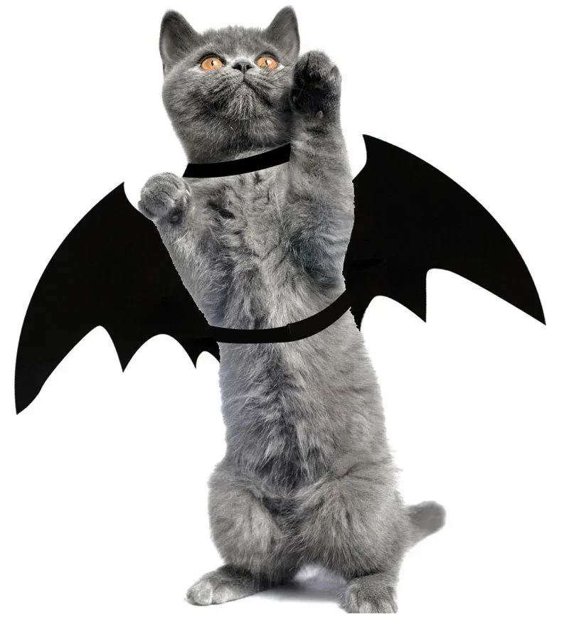 Funny Cat Halloween Costumes
