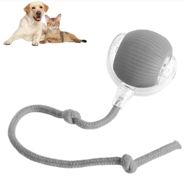 PawBot Smart Pet Ball