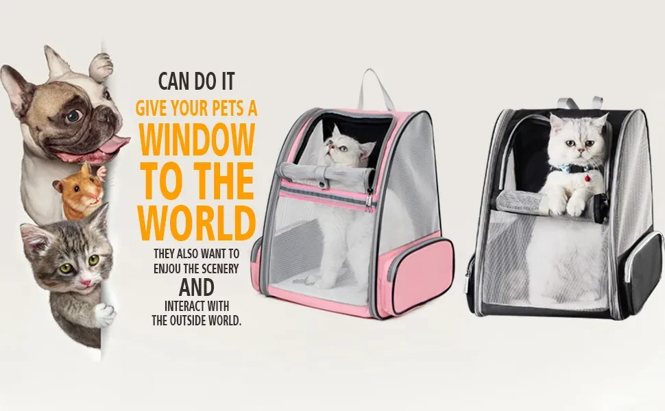Multiple cat carrier