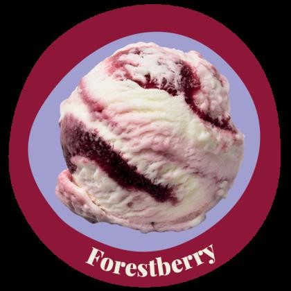 Ice Cream Forrestberry Frozen Yoghurt