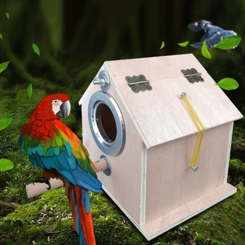 Budgie Breeding Bo