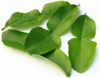 Kaffir Lime Leaves