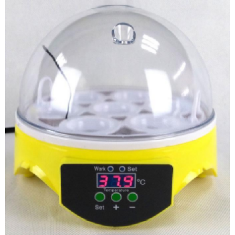 Egg Incubator