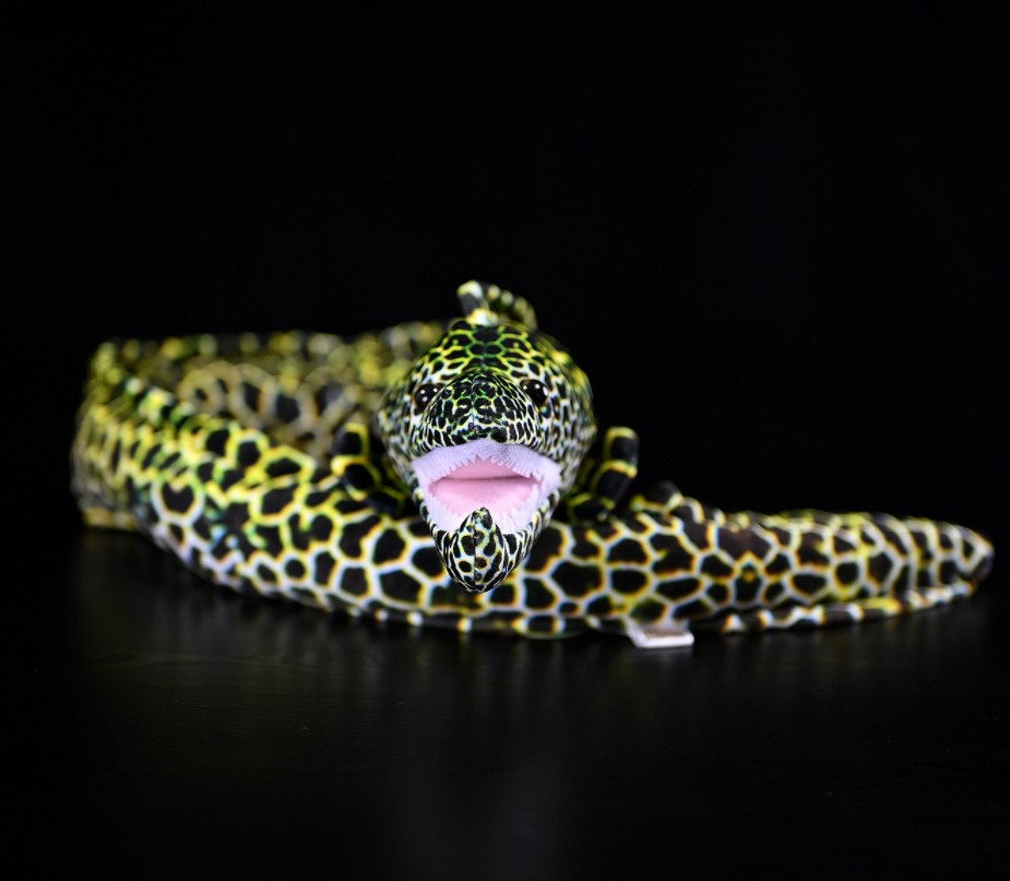 Cute Star Eel Plush Toy With A Realistic Kangji Eel Figurine