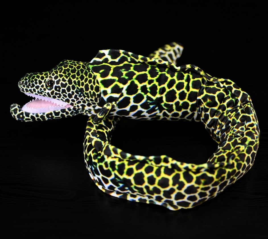 Cute Star Eel Plush Toy With A Realistic Kangji Eel Figurine