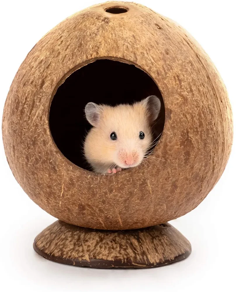 Warm Hamster Coconut Shell Nest With Base