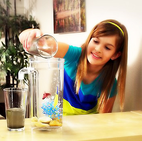 Automatic Fish Tank Cleaning System