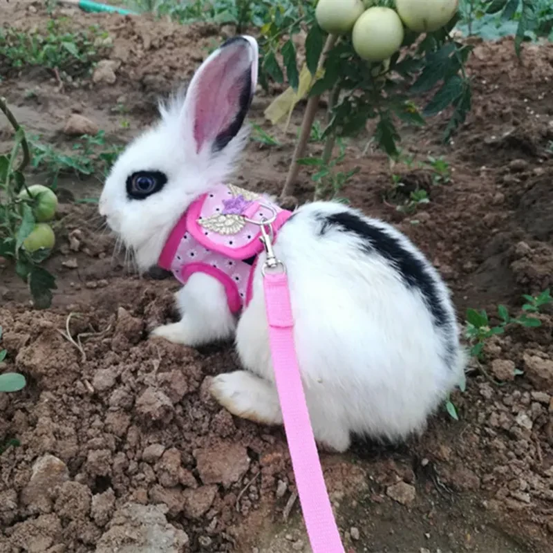 Bunny Harness