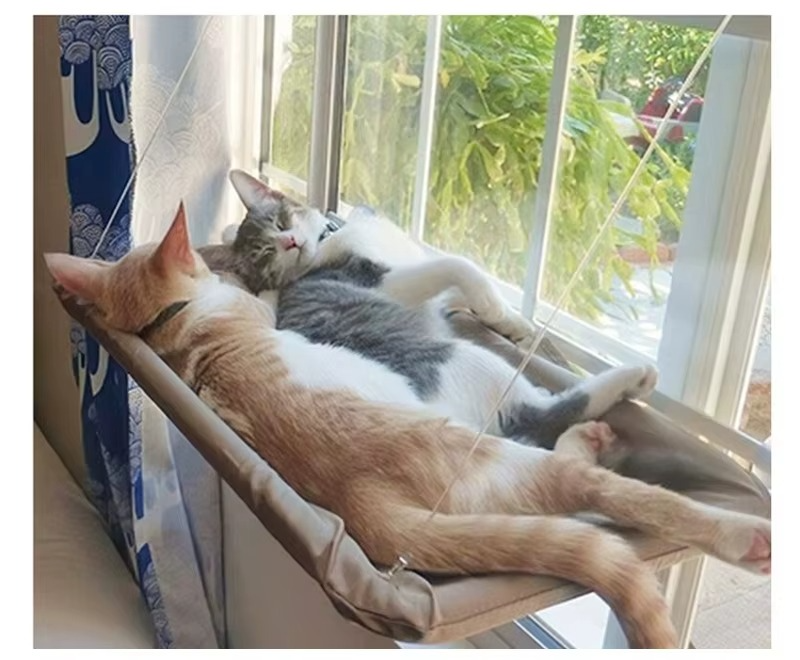 Cat window perch, cat window hammock, cat window ledge, cat window bed, cat window seat, cat window shelf, cat hammock