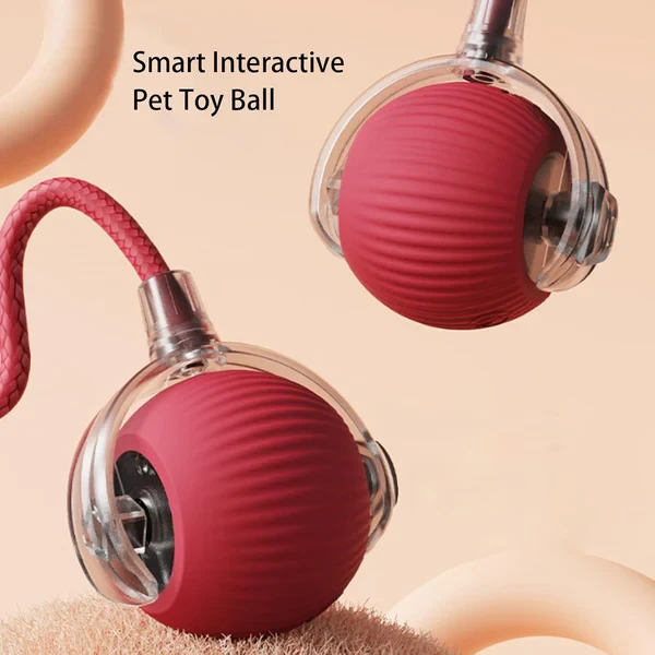 Rollraptor interactive pet toy ball