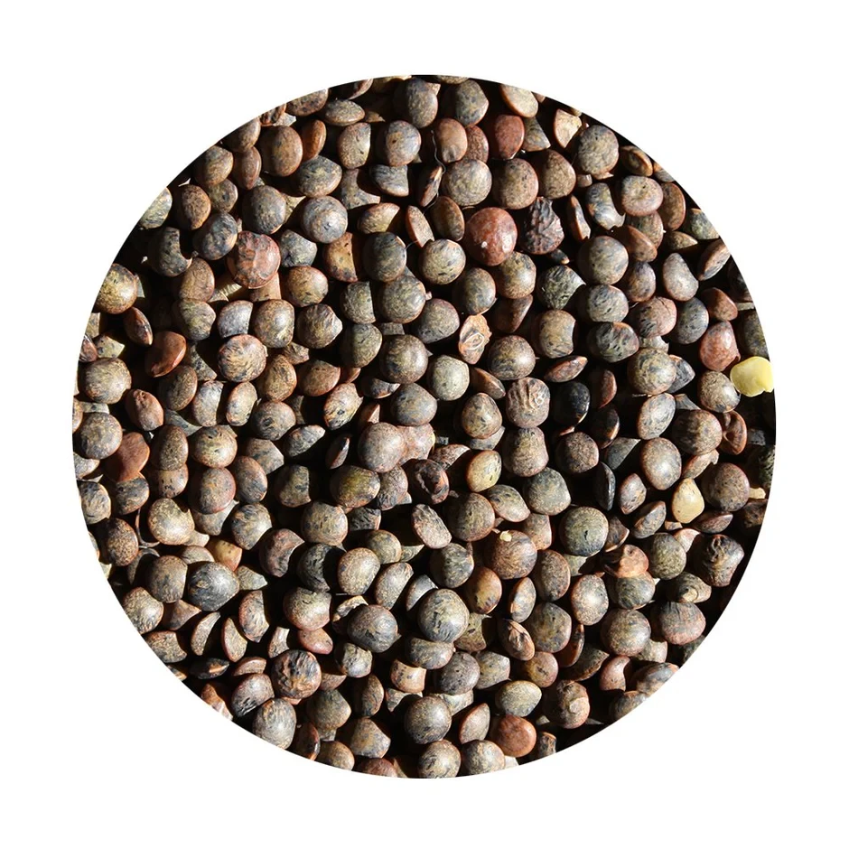 Lentils French Green 1kg