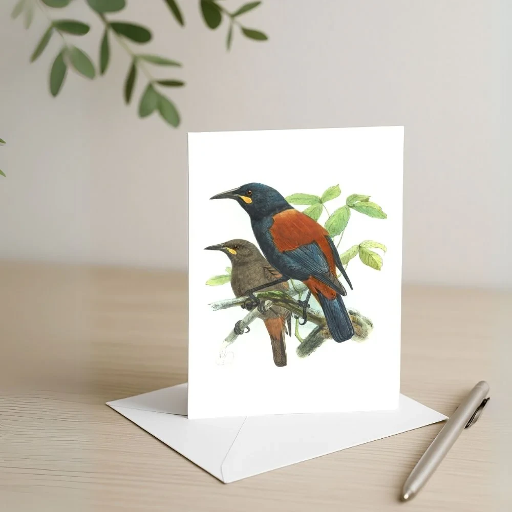 Johannes Keulemans - Card - South Island Saddleback - Tieke and North Island Saddleback - Tieke