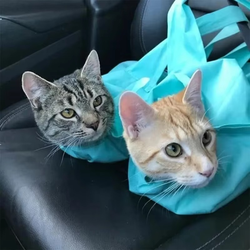 Felinoir Petmoki™ Cat Carrier Bag