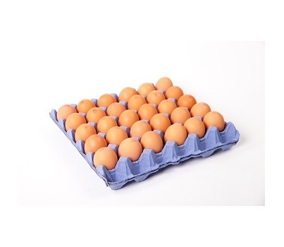 EGGS FREE RANGE MIXED GRADE 30s (PER TRAY) - [PRODUCE]