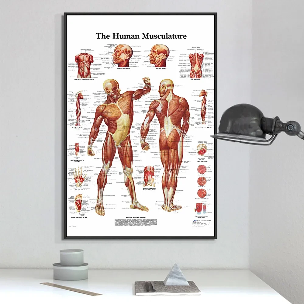 Skeleton Analysis Poster