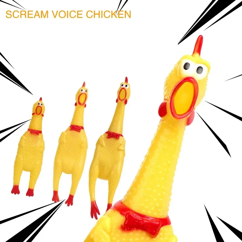 Chicken Toys