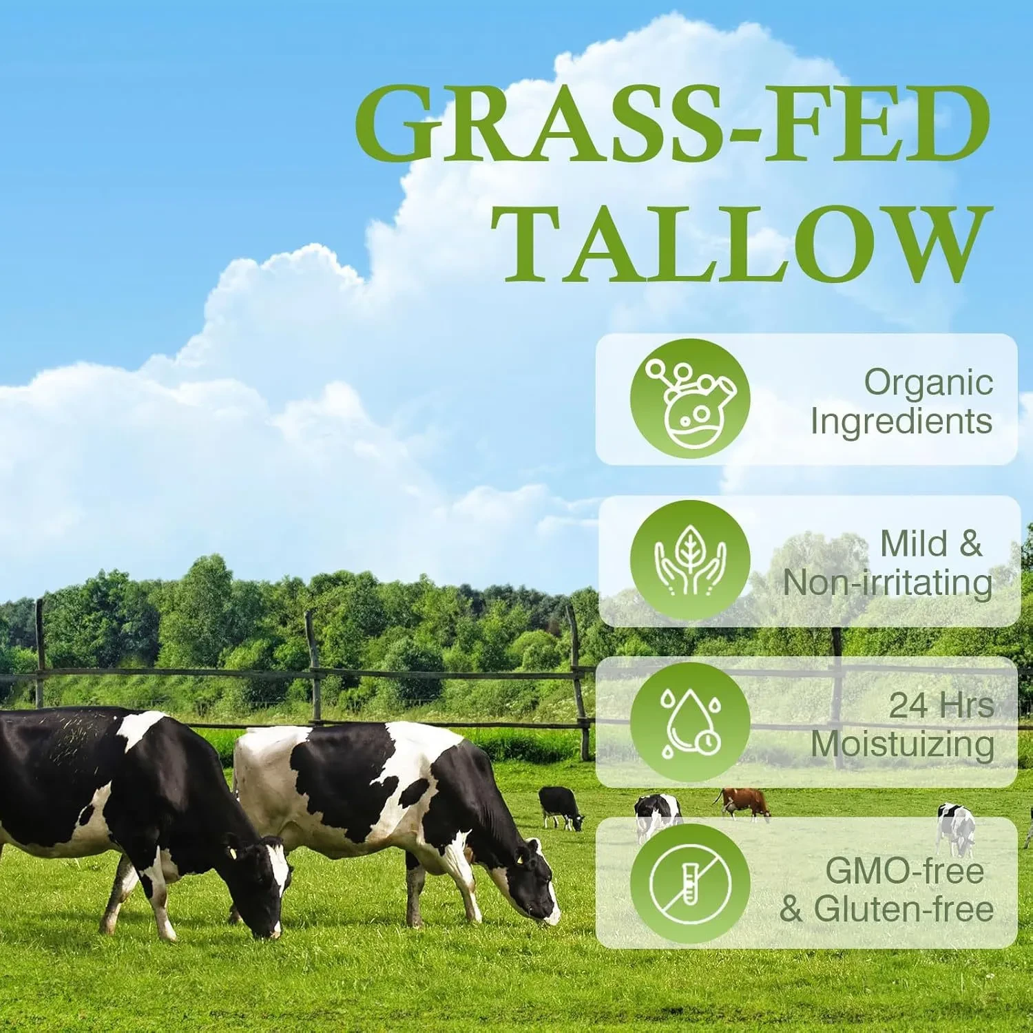 Grass Fed Beef Tallow