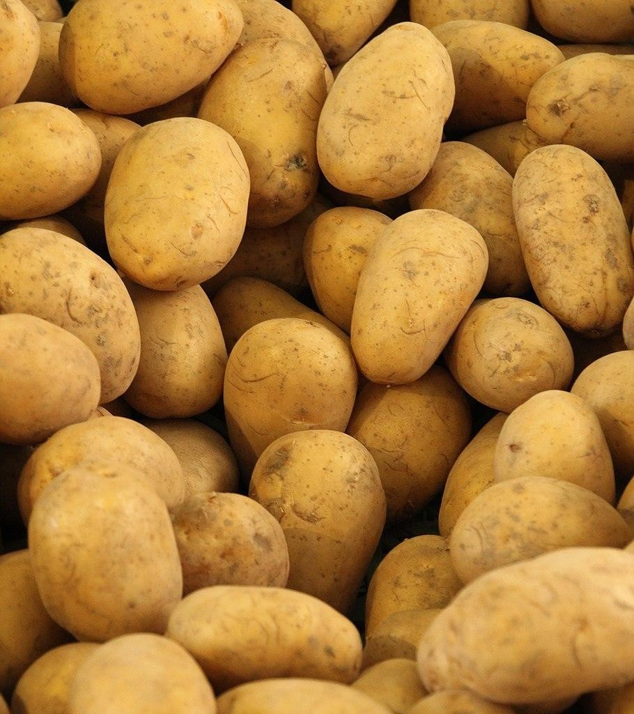 POTATO AGRIA GOURMET (10KG) [PRODUCE]