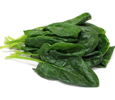 SPINACH NORMAL (PER BUNCH) - [PRODUCE]