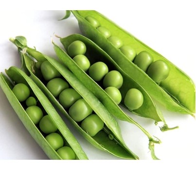 SNOW PEA PODS (PER KG) - [PRODUCE]