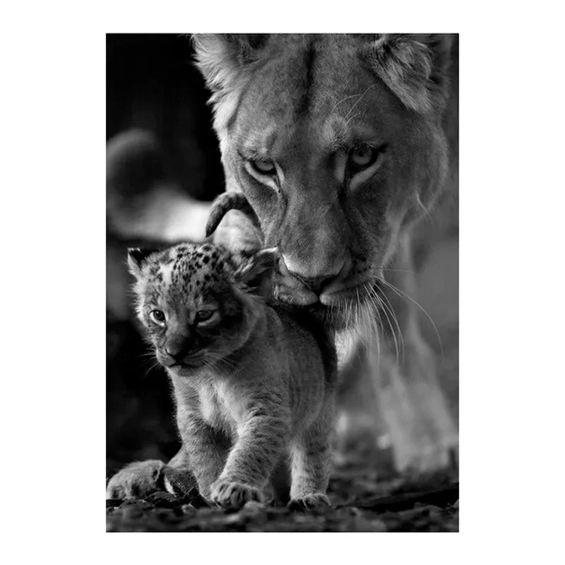 black and white surf canvas