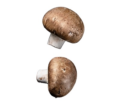 MUSHROOM SWISS BROWN (PER KG) - [PRODUCE]