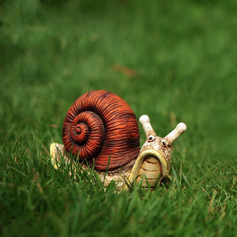garden snail kit