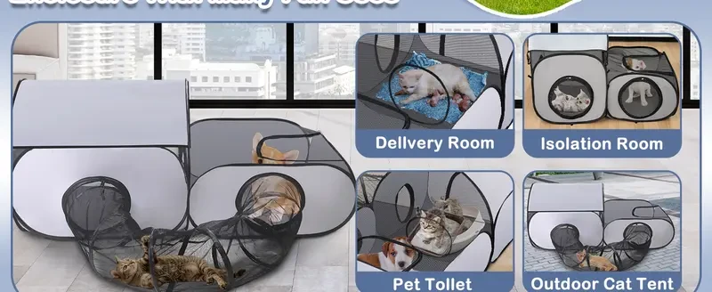 Cat Enclosures