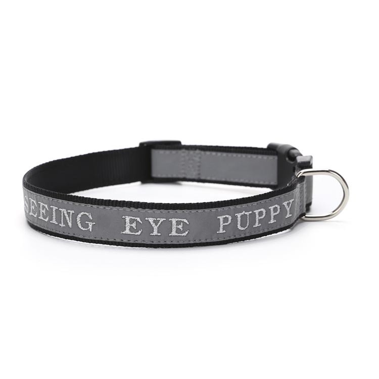 Dog Collar with Phone Number