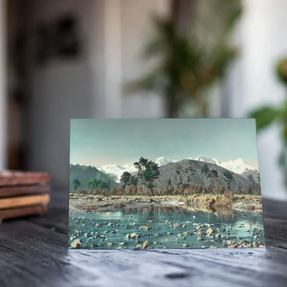 Whites Aviation - Card - Clearwater