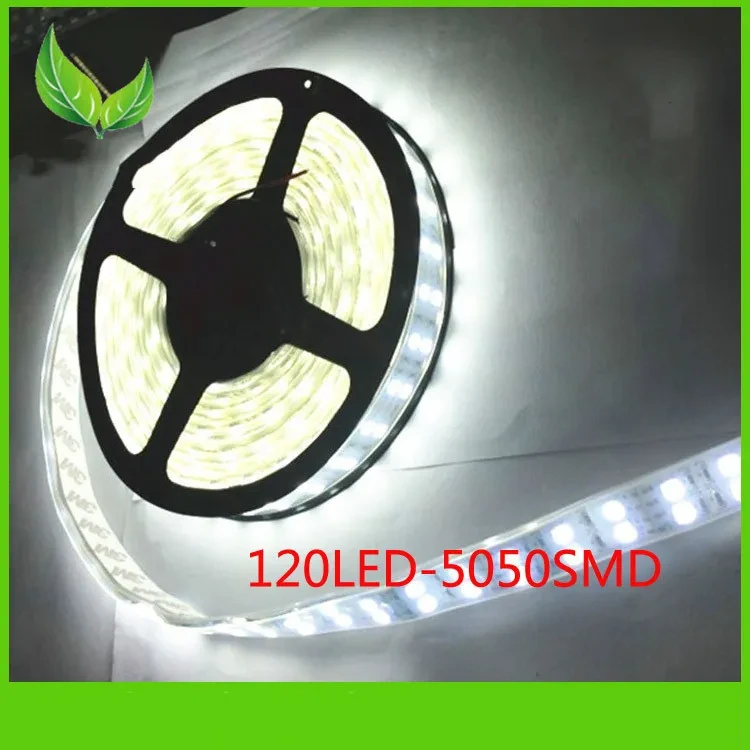 12V Lights