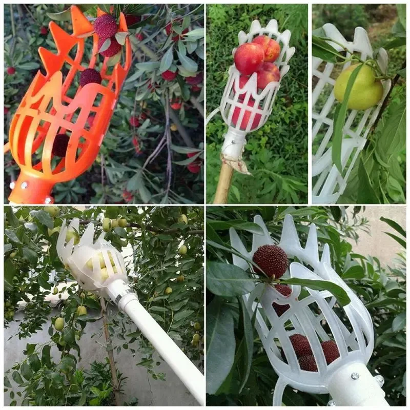 Avocado Picker