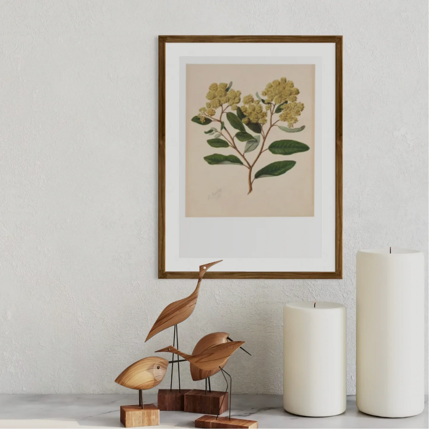 Sarah Featon - Print - Kumarahou